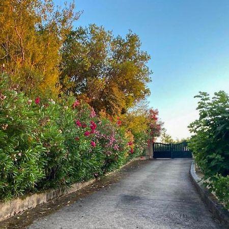 Ferienwohnung Domaine Mare E Monti - T1 Le Maquis Albitreccia Exterior foto